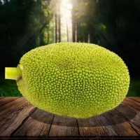Tender Jackfruit (kg)