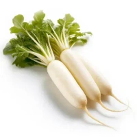 White Radish 1 kg
