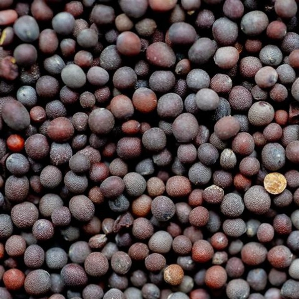 #SPC Black Mustard Whole (Kala Shorshe) 1kg