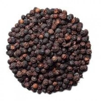 #SPC Gol Morich 100gm