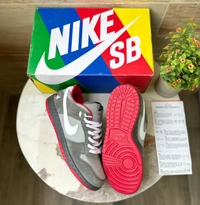 Nike Sb Dunk Nyc Pigeon - 8