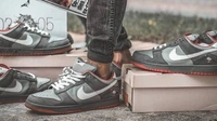 Nike Sb Dunk Nyc Pigeon - 8