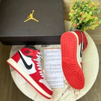 Air Jordan Retro 1  - 11