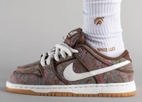 Nike Sb Dunk Paisley Brown  - 10