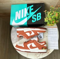 Nike Sb Dunk Sunclub Orange  - 11