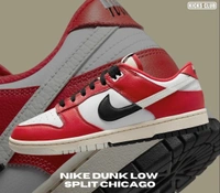 Nike Sb  Dunk Split Chicago - Euro 41