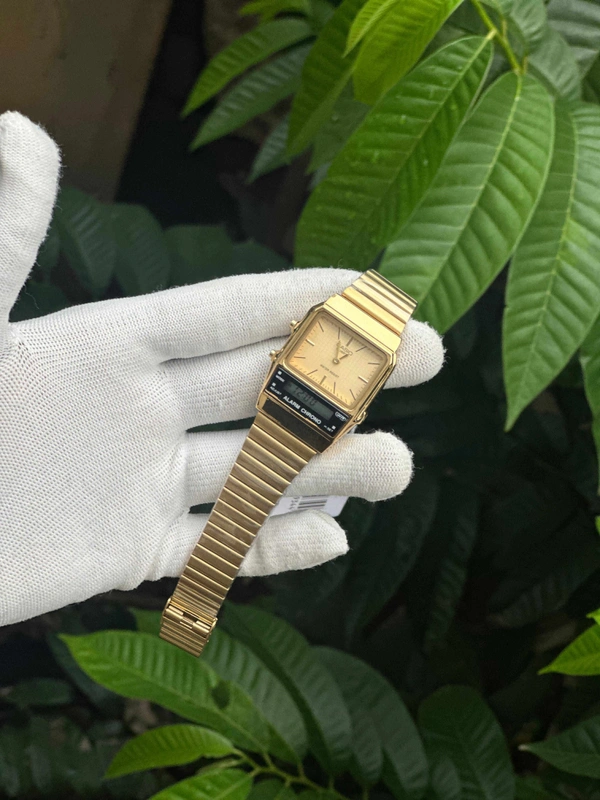 Casio Dual Model - Gold