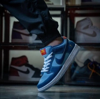 Nike Sb Dunk WHY So Sad - 7