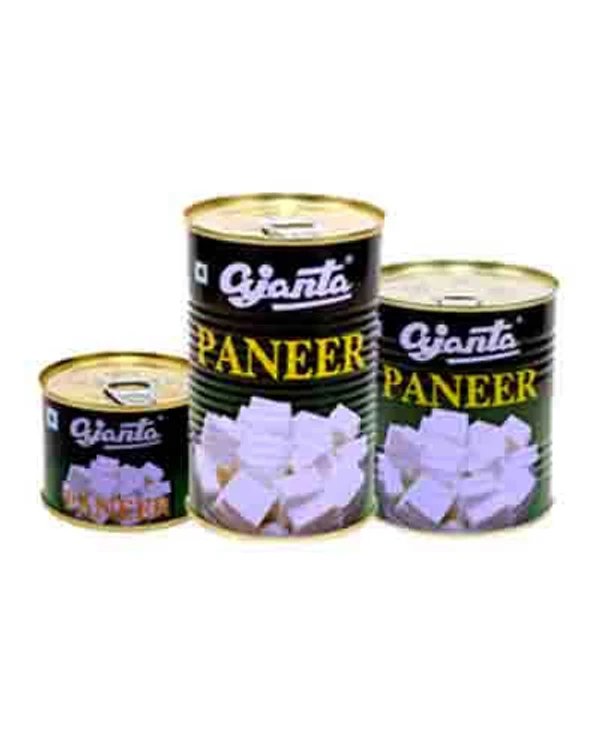 Ajanta Paneer - Drained Weight : 250g