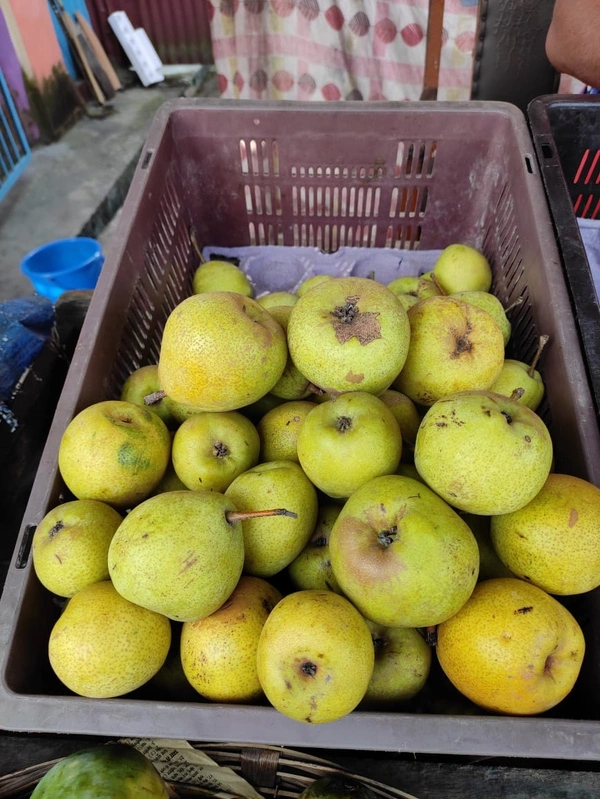Kashmiri Nashpati (Pear) - 1Kg