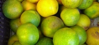 Fresh Mosambi (Lucknow) - 500g