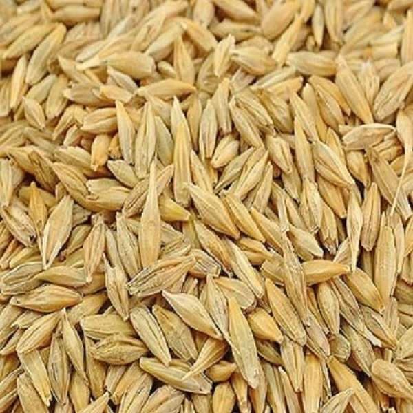 Jau Dhan (Jo Dhan/Barley Seeds) - 100g