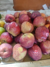 Apple Himachal Imported - 500g