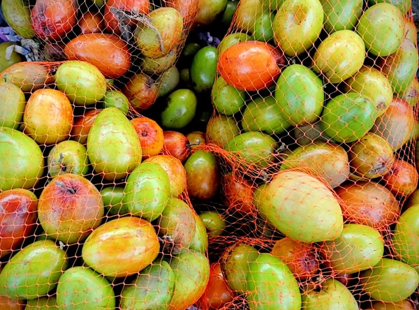 Bogori (Bor) - 500g