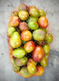 Bogori (Bor) - 500g