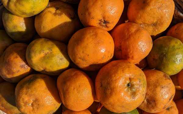 Kamla (Orange) - 500g