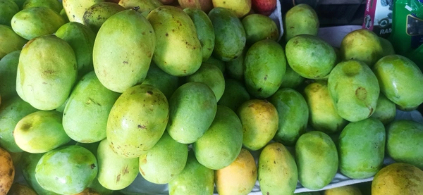 Mango (Aam) Langda - 1kg