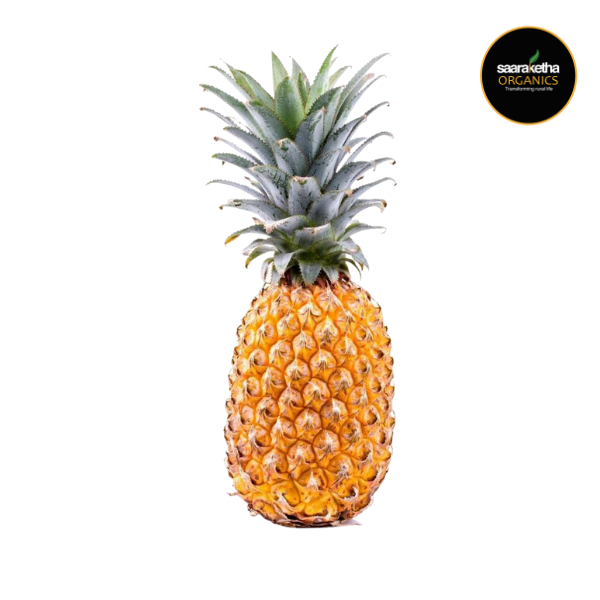 Pineapple 🍍 (Ananas) 2Pc - 2N