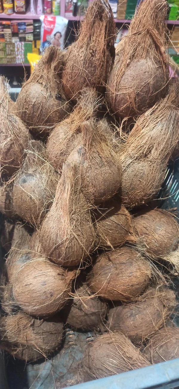 Mature Coconut / Nariyal / Narikol - 1 Pc
