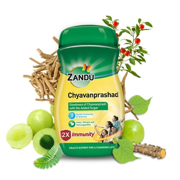 Zandu Chyavanprashd  - 900g