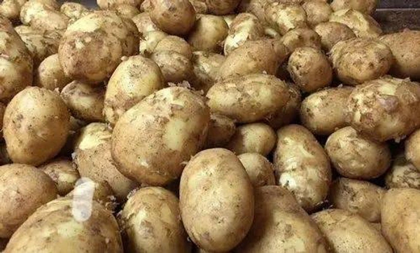 Aalu Potato Notun - 1kg