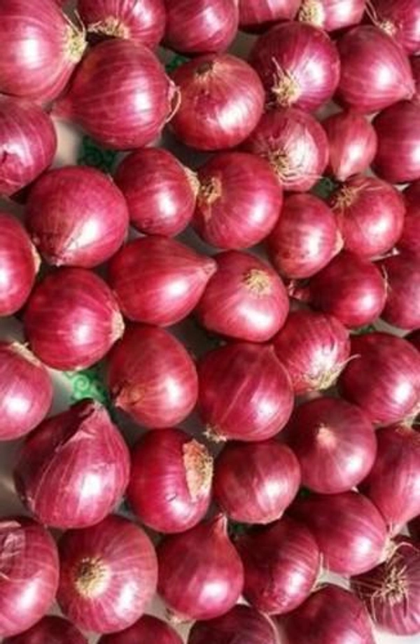 Onion 1kg