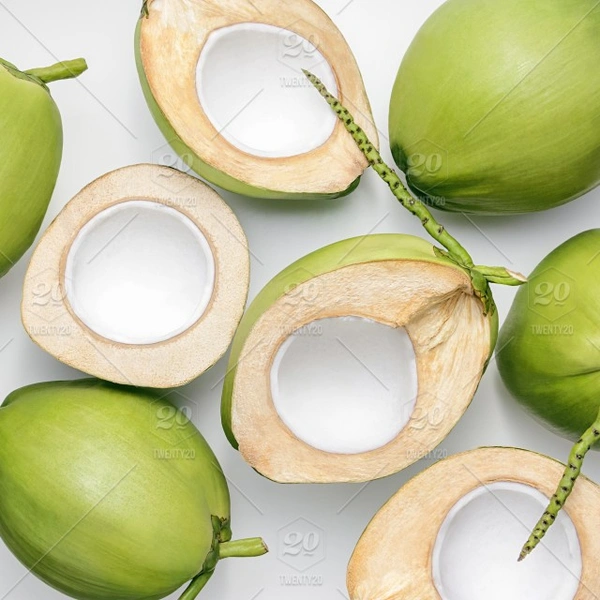 Coconut 