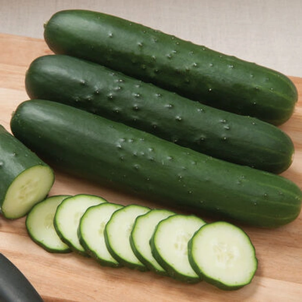 Cucumber 🥒