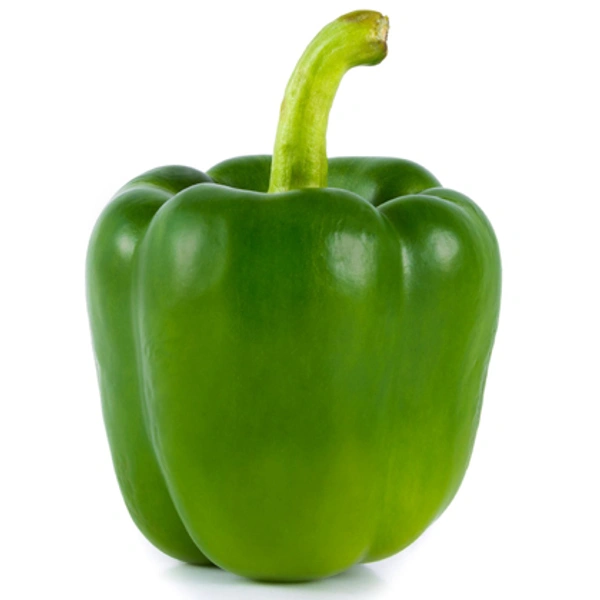 Capsicum 500