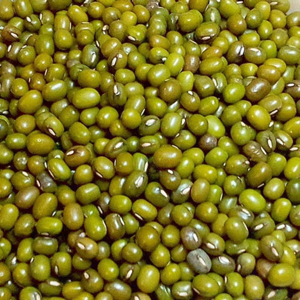 Moong 