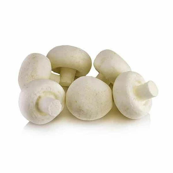Mashroom - Tin