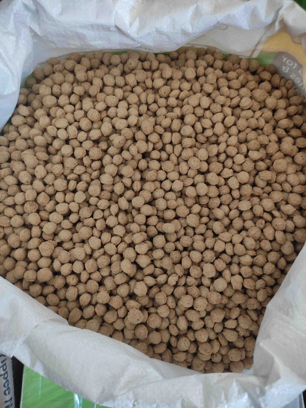Primium Quality Soya Bean. Loose Soya Bean Choti / Small  - 100 Gram