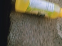 Glue - Yellow