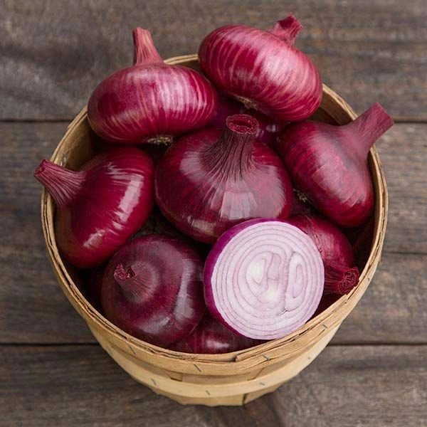 Onion 🌰 🧅  - 1kg