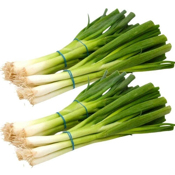 Spring Onion (Green Onion) - 250g - 500g