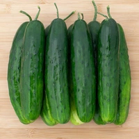 Green Cucumber (Shosha) - 500g