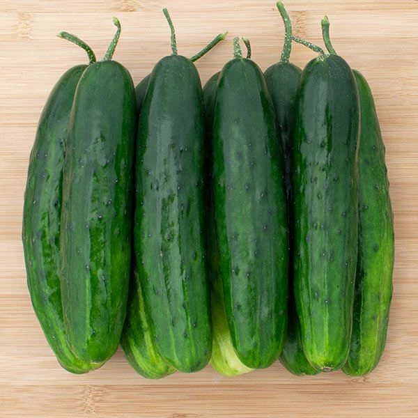 Green Cucumber (Shosha) - 1kg