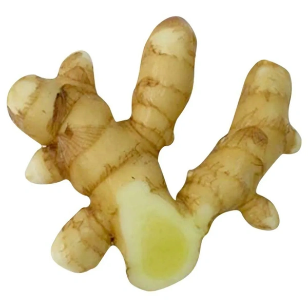Mango Ginger (Mango Adrak) - 100g