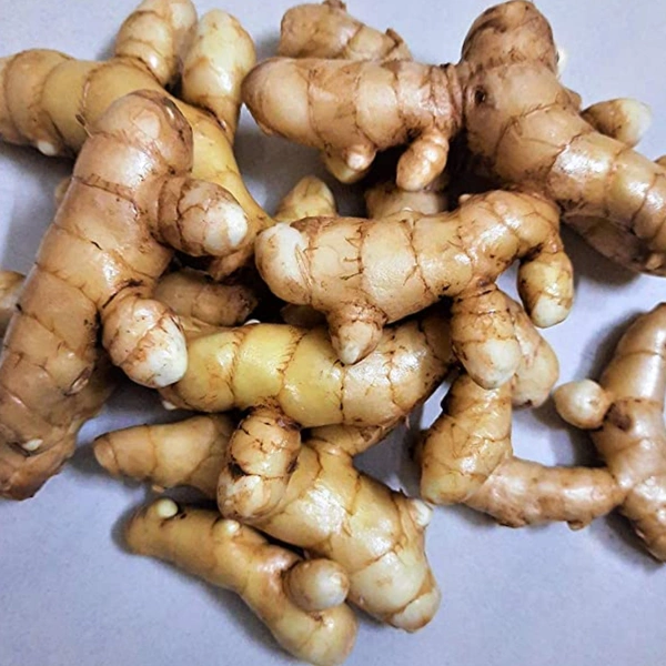 Mango Ginger (Mango Adrak) - 100g