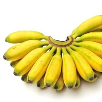Baby Banana (Chine Kela) - 2p