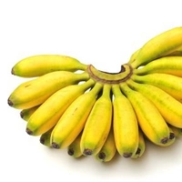 Baby Banana (Chine Kela) - 12p
