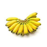 Baby Banana (Chine Kela) - 12p