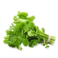Coriander Bunch (Dhona Pata) - 100g - 150g
