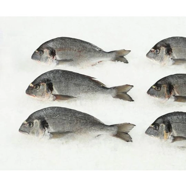 Fish - 1kg