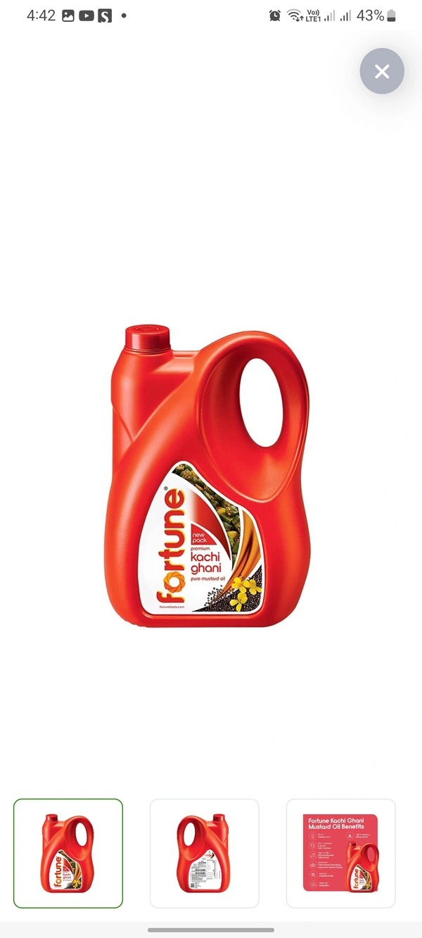 Fortune Oil - 1L