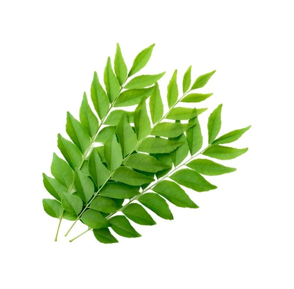 Curry Leaves (Kadi Patta) - 200g