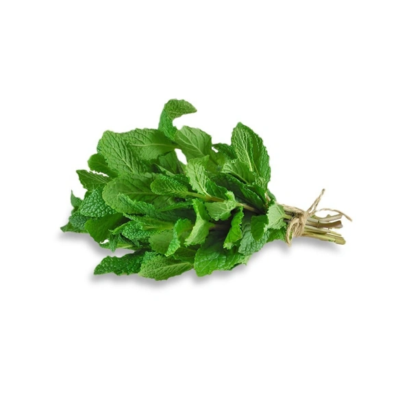 Mint Leaves (Pudina) - 900g