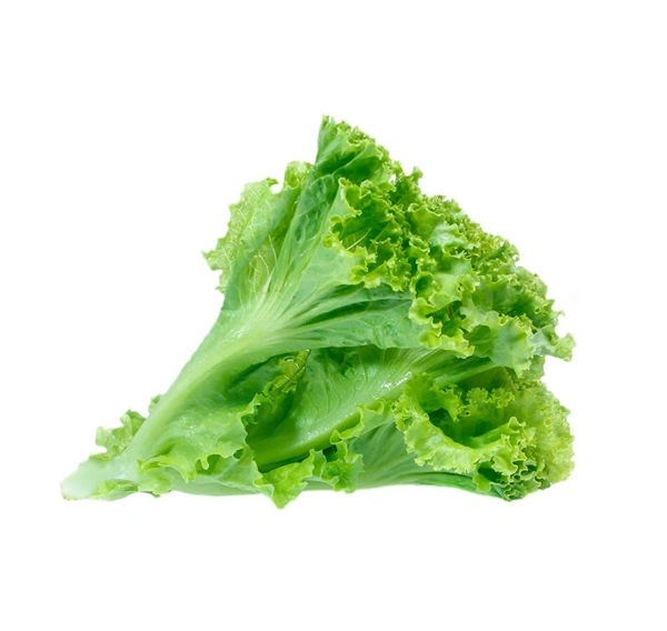 Green Lettuce  - 250g