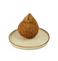 Coconut (Nariyal) (Narkel) - 1 piece