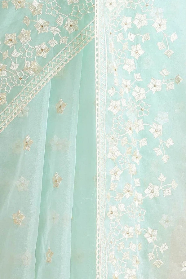 FWMF BEAUTIFUL EMBROIDERY HEAVY MULTI THREAD WORK SAREE - Powder Blue